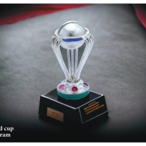 Miniature Pure Silver Cricket Worldcup